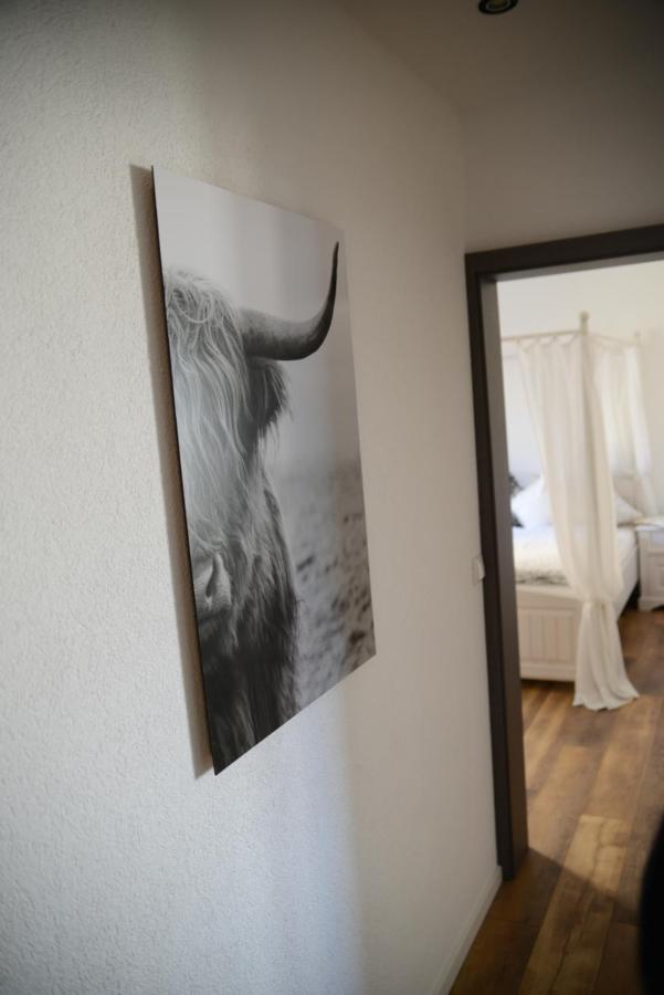 Ferienwohnung Die Alte Schule Daun Extérieur photo
